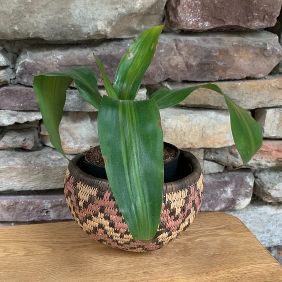 VTG African Basket Zulu Rwanda Coiled Chevron South Africa Hand Woven - Picture 4 of 7